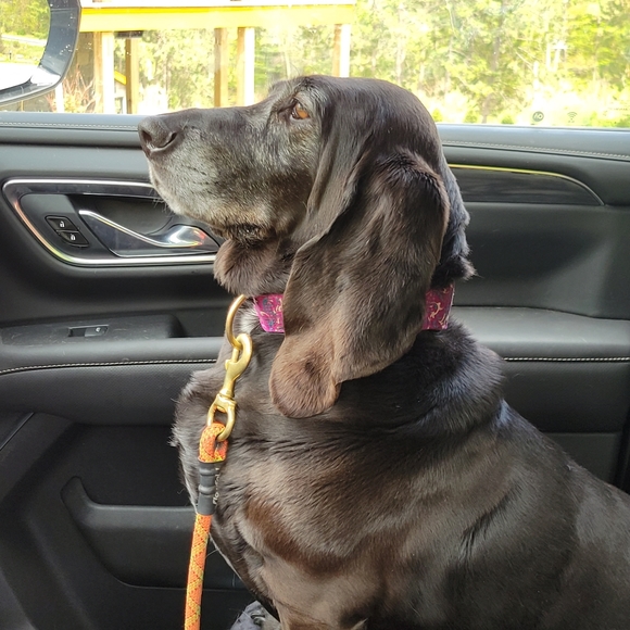 Meet your Posher, Sommer - Picture 2 of 5